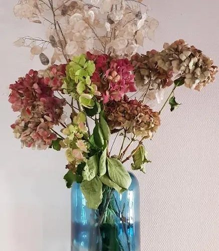 Feriehus Le De La Vieille Eglise De *